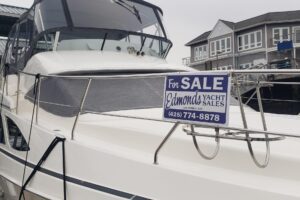 8822083_20230420173538032_1_XLARGE