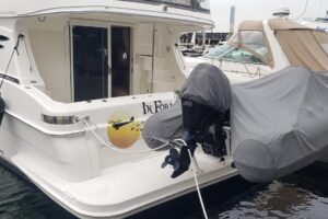 8822083_20230420173557125_1_XLARGE