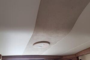 8822083_20230421203050951_1_XLARGE