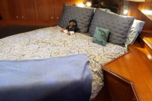 8964103_20230721114110396_1_XLARGE