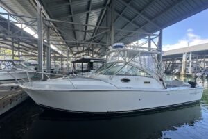 IMG_0579