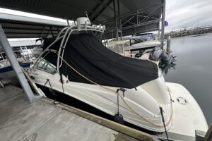 IMG_6768