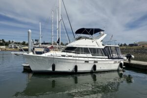 Photo Jun 21 2024, 3 23 53 PM