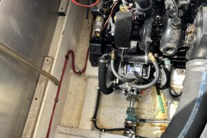 Photo Jun 21 2024, 3 41 10 PM