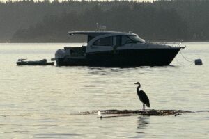 image2 (1)